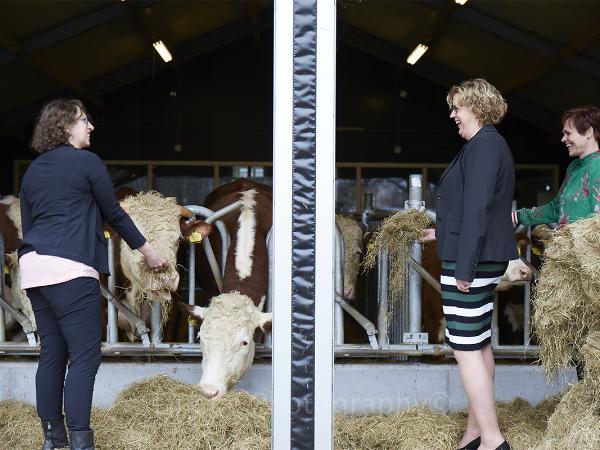 Afbeelding 2 van Regionaal Bureau voor Toerisme  Utrechtse Heuvelrug & Vallei gevestigd in de plaats Doorn in de provincie Utrecht geeft inzicht in de mogelijkheden van de meetingdienst.