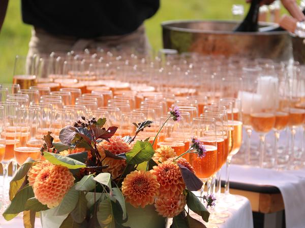 Afbeelding 3 van Fine Food Factory gevestigd in de plaats Almen in de provincie Gelderland geeft inzicht in de mogelijkheden van de meetingdienst.