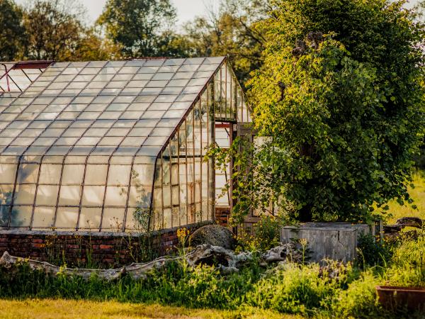 Afbeelding 3 van Oogenlust BV gevestigd in de plaats Eersel in de provincie Noord-Brabant geeft inzicht in de mogelijkheden van de meetingdienst.